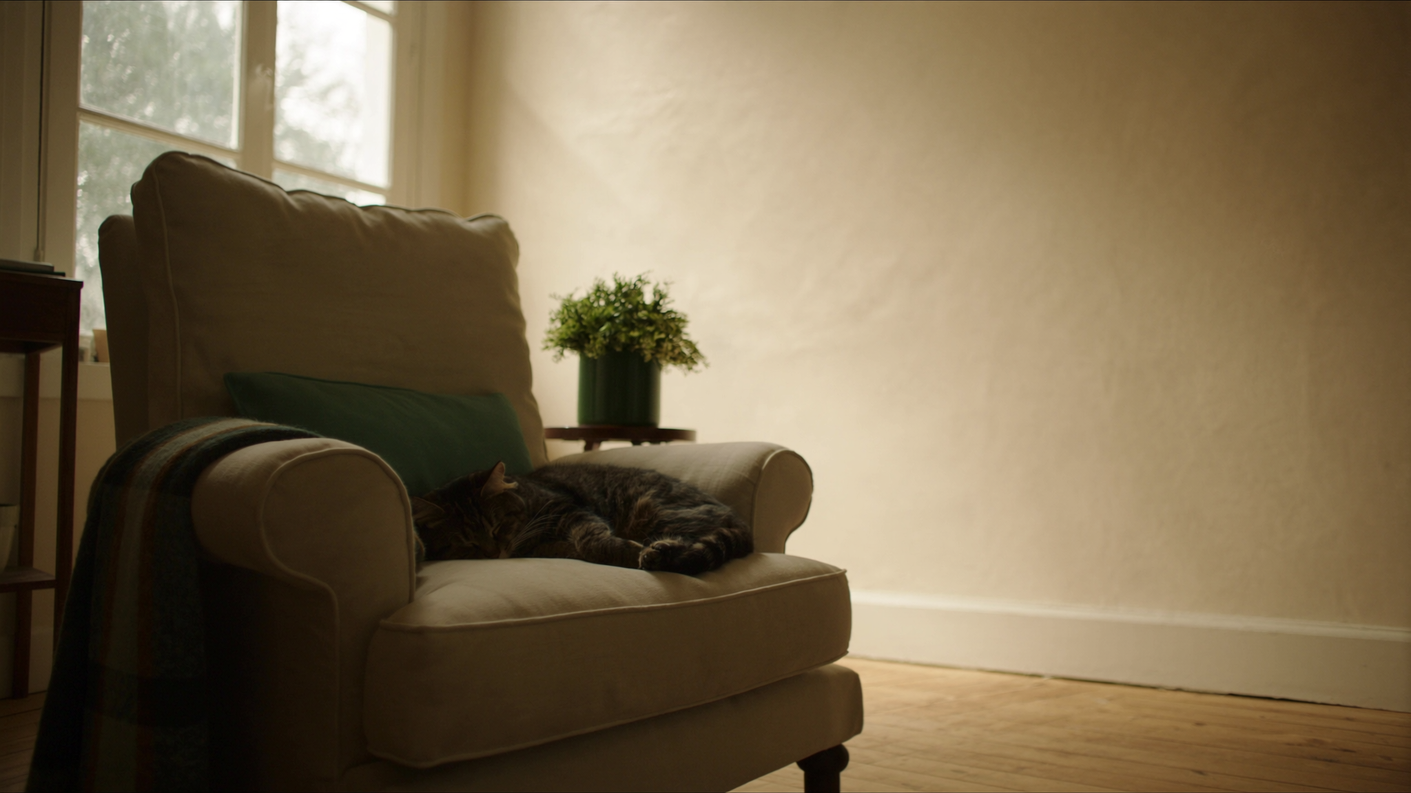 Un chat tigré endormi sur un fauteuil en lin beige près d'une fenêtre