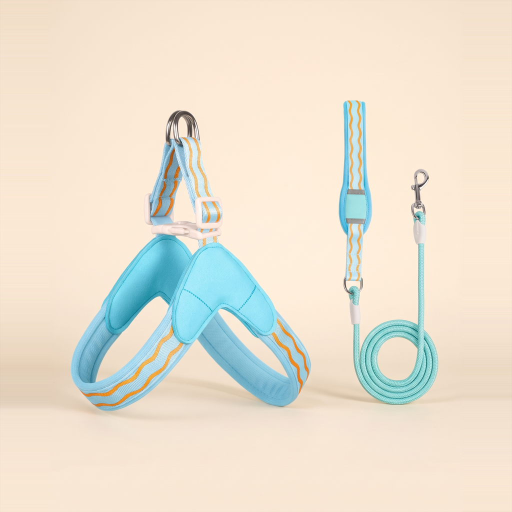 Harnais et laisse pour chien Le Baroudeur, coloris bleu clair