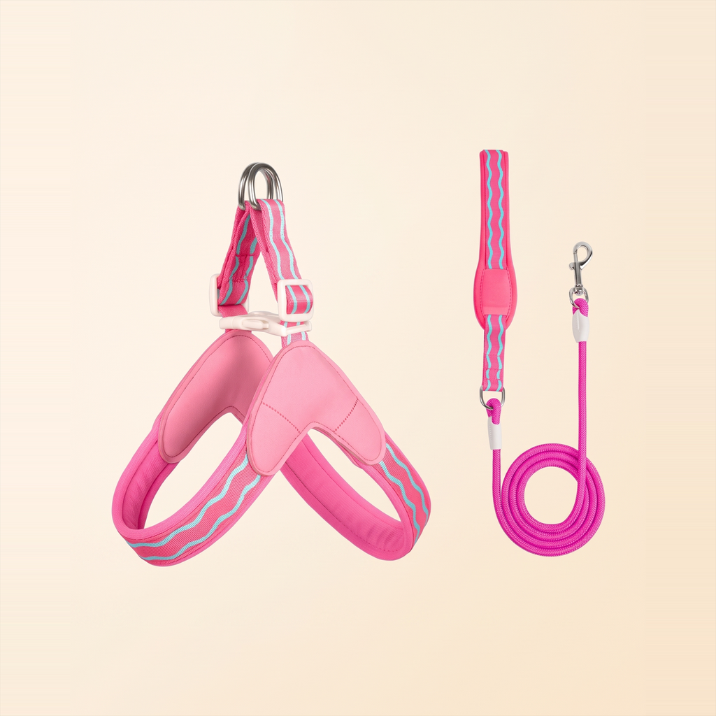 Harnais et laisse pour chien Le Baroudeur, coloris rose