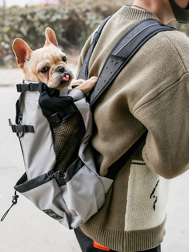 Sac à dos pour chien Le Randonneur, bouledogue français tête dehors, coloris gris clair