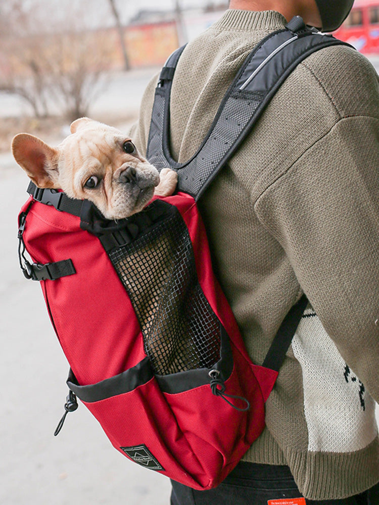 Sac à dos pour chien Le Randonneur porté sur le dos, coloris rouge