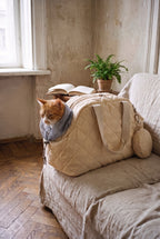 Chat installé dans le sac de transport pour chat écru, tête sortie par la collerette en maille, posé sur un canapé
